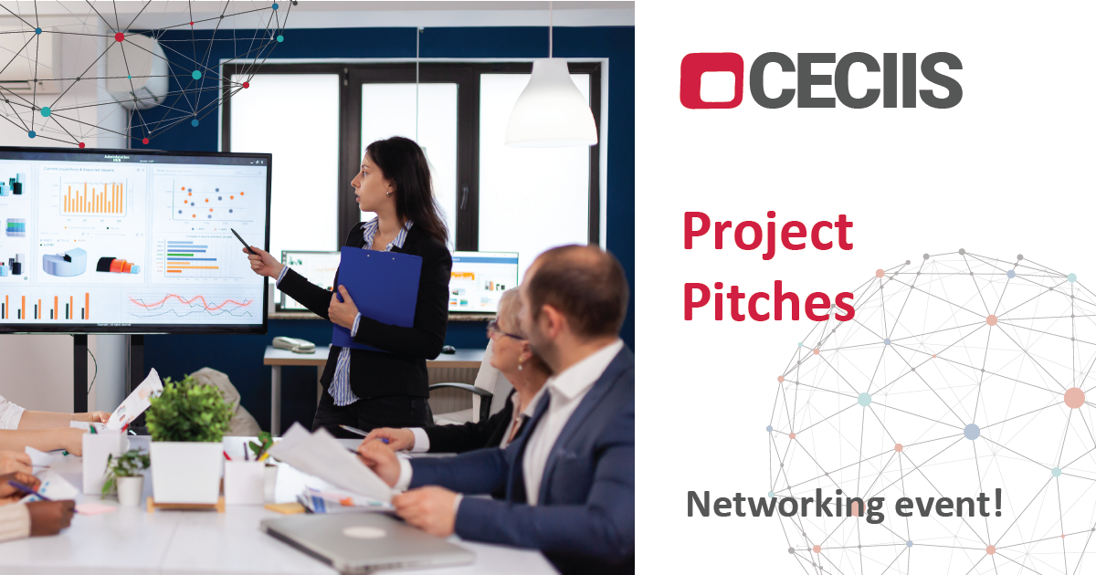 project pitches